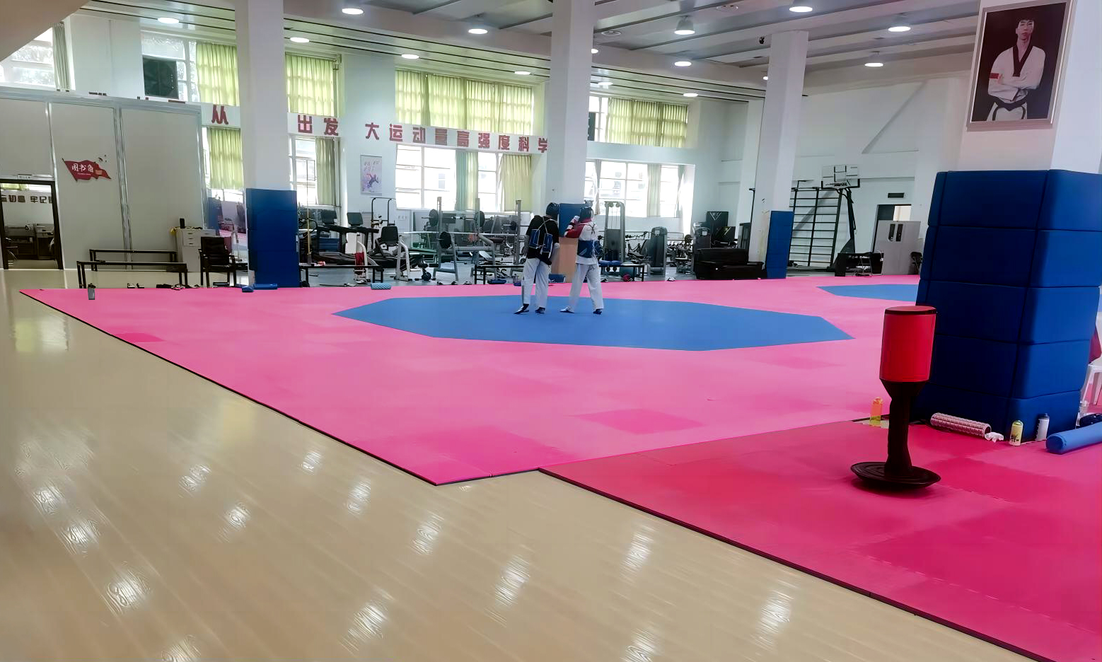 福建體育職業(yè)技術(shù)學院摔跤館